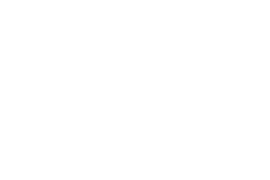 bc2white logo transparent